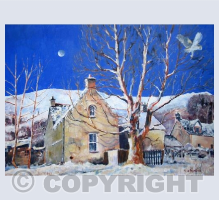 The Barn Owl's House