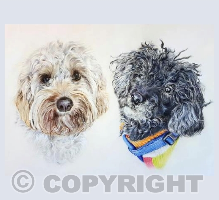 Olly & Bobo