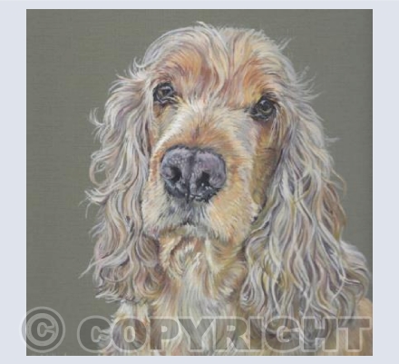 Mel Golden Cocker Spaniel - Gouache Painting