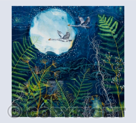 Wings of the Northern Night