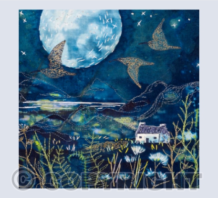 Where Curlews Cross the Evening Sky