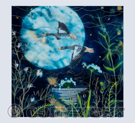 Echoes of the Wild