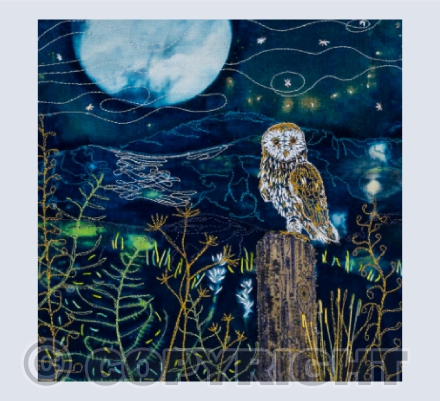The Night Owl