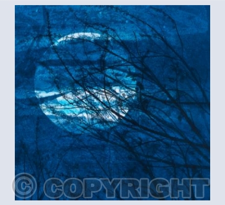 The Depths of the Night