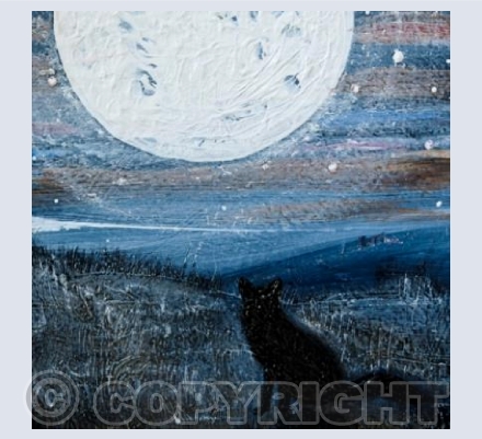 Moon Gazing