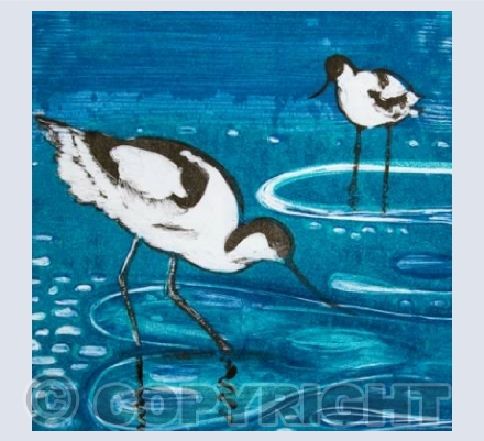 Wading in the Shallows