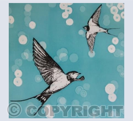 Swallow Swoop