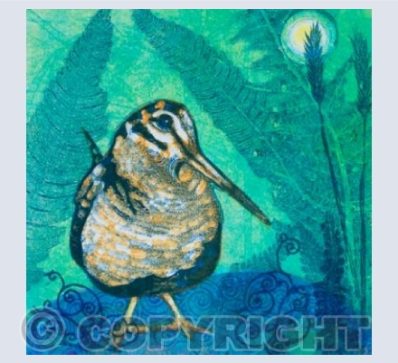 Woodcock and Ferns