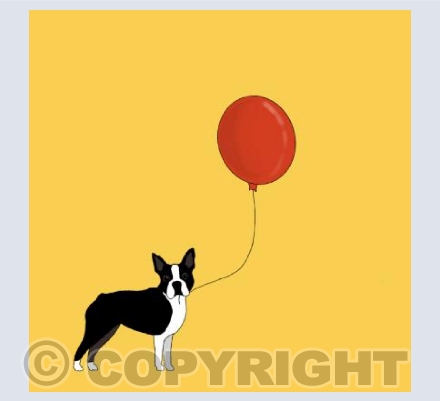 Boston balloon