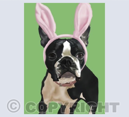 Tilly-Mint Bunny