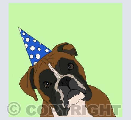 Boxer Party