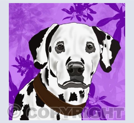Dalmatian Days