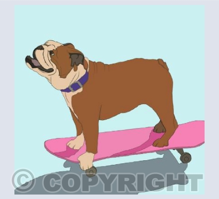 Skateboard Bully