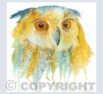 A Wise Owl