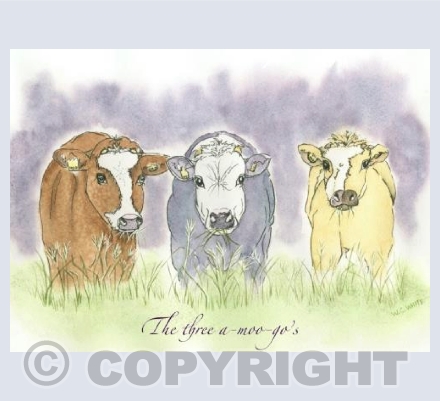 The three A-moo-go"s