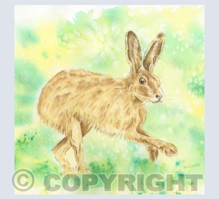 Running Hare