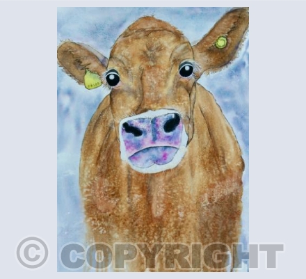 Sorry Cow