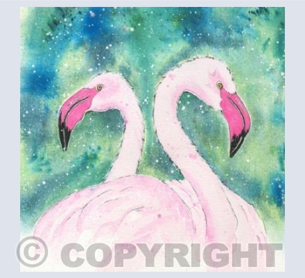 Flamingo Friends