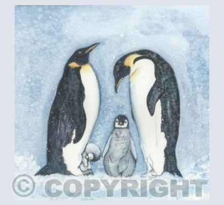 Penguin Family
