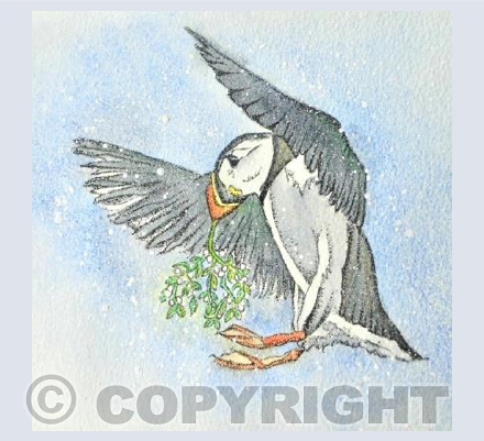 Puffin Romantic