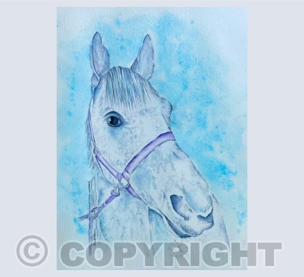 Horse 