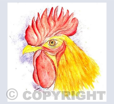 Golden Cockerel