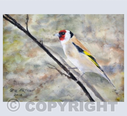 Goldfinch