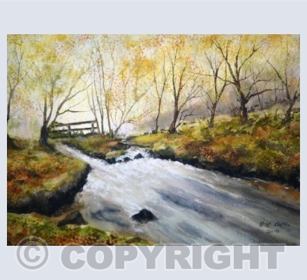 Golitha Falls In Autumn
