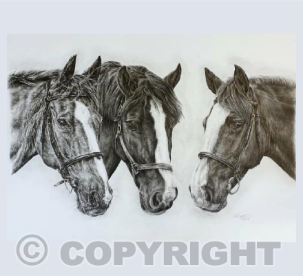 Prim, Felix and Spruce Greetings Card