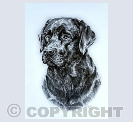 Penny Greetings Card