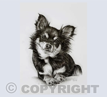 Grace Greetings Card