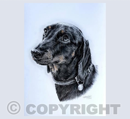 Bumble Greetings Card