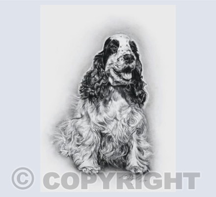 Alice Greetings Card