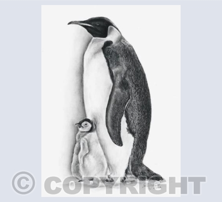 Emperor Penguin and Chick