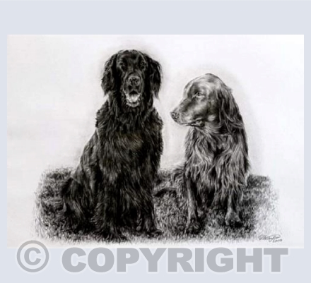 Teasel and Cherry