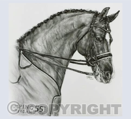 Valegro Greeting Card