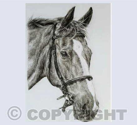 Prim Greetings Card