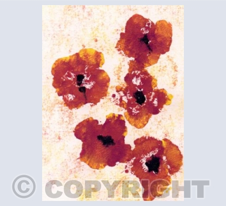 Poppies