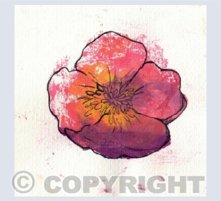 Mono Print Pink Bloom