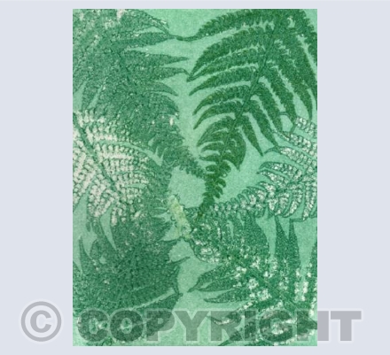 Fern Monoprint