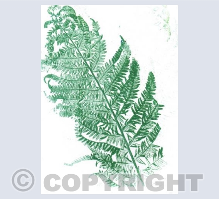 Large Fern Monoprint
