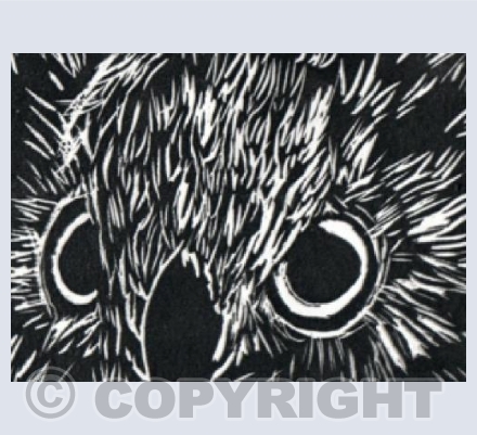 Owl Lino Print