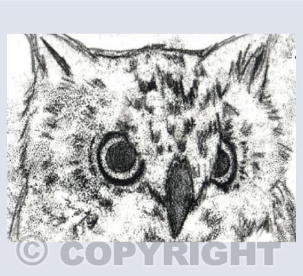 Owl Mono Print