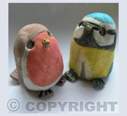 Robin and bluetit
