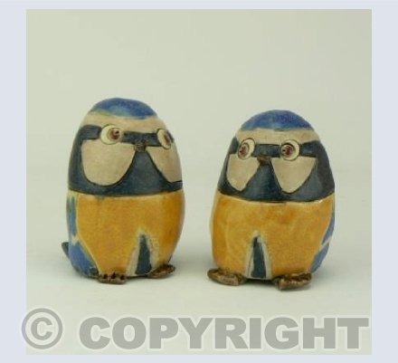 Are you a blue tit too?