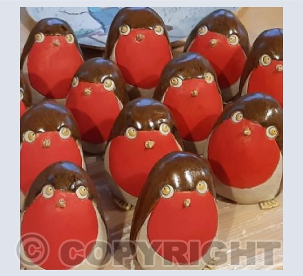 A Riot of Robins