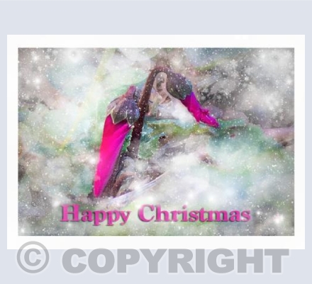 Cyclamen Christmas