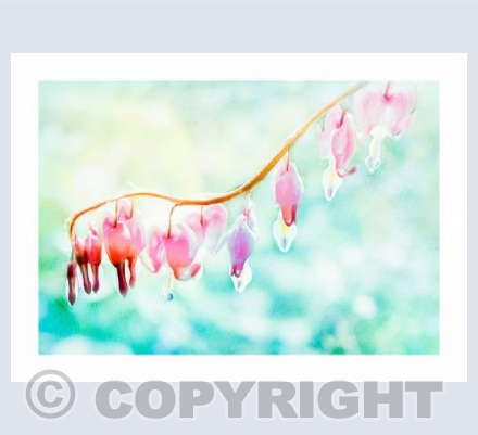 Pale Droplets