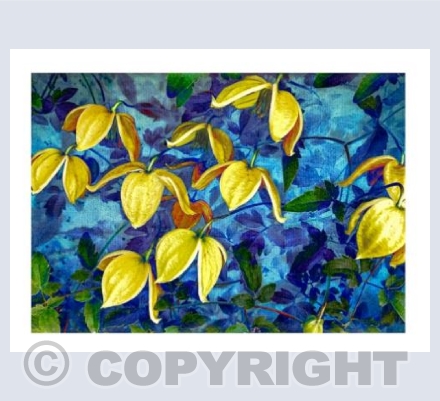 Yellow and Blue