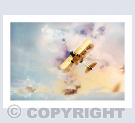 Sunshine Flight